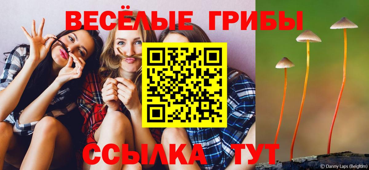Псилоцибиновые грибы мицелий Звенигород